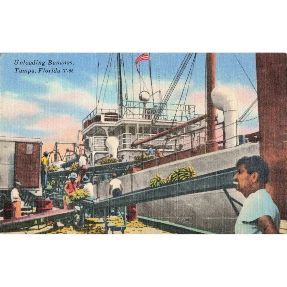 Vintage Unloading Bananas Tampa Florida T-86 Linen Postcard Tichnor Quality View